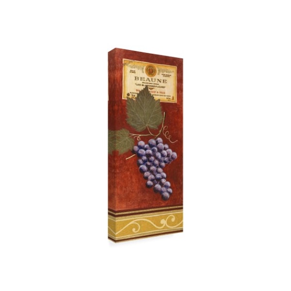 Pablo Esteban 'Grapes With Label On Red' Canvas Art,20x47
